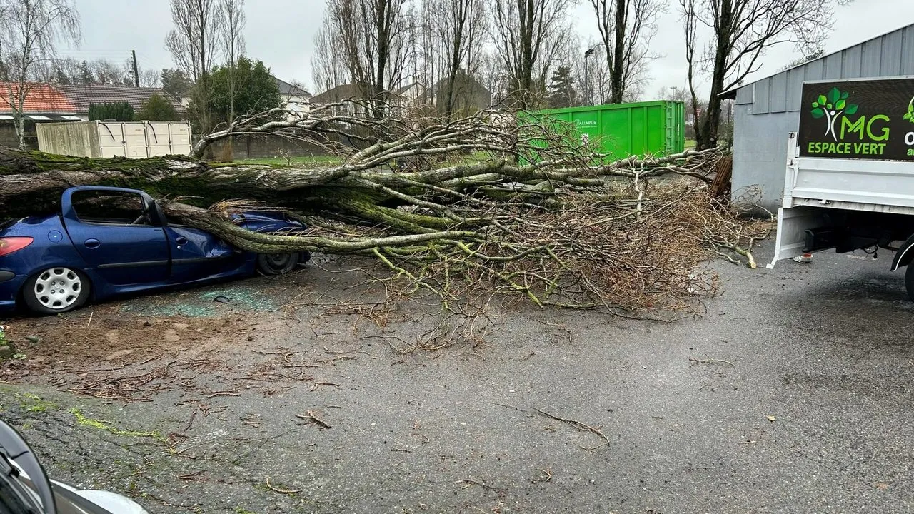 Abattage du peuplier tombé lors d’une tempête à La Chapelle-sur-Erdre