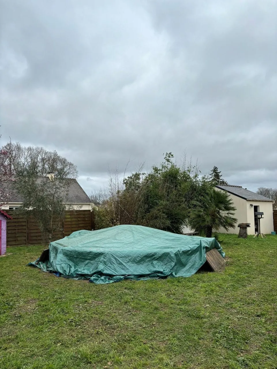 Abattage du pin à Treillières