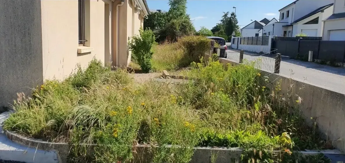 Débroussaillage à Vigneux-de-Bretagne
