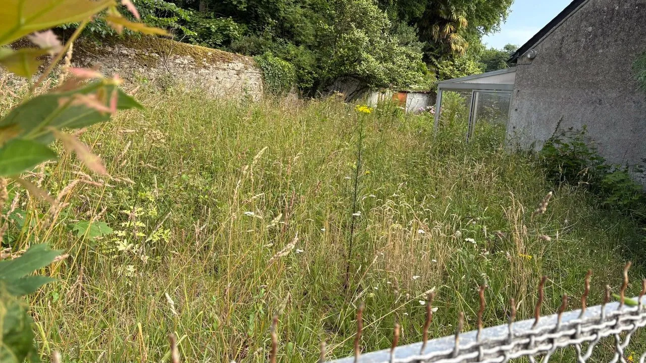 Débroussaillage de jardin à Sautron
