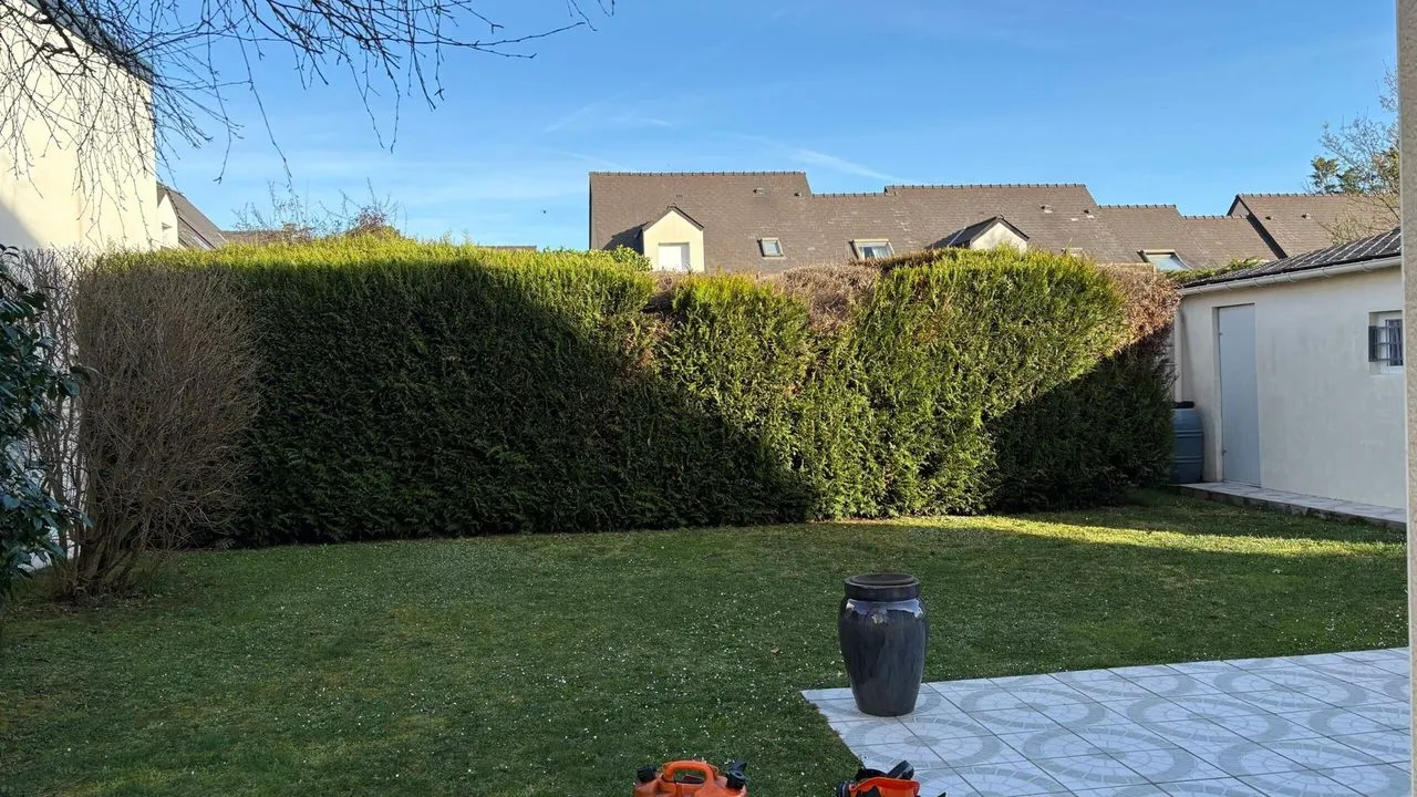 Dessouchement de la haie à Couëron