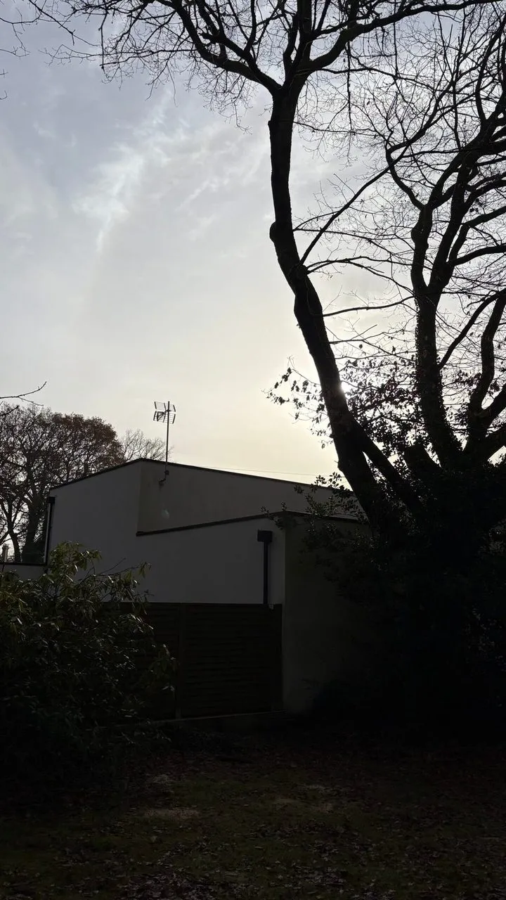 Élagage du chêne avec nacelle à Sautron