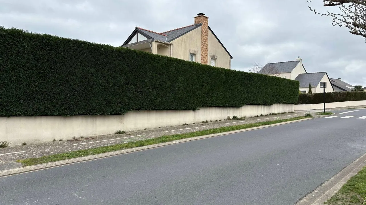 Taille de haie de thuya à Couëron